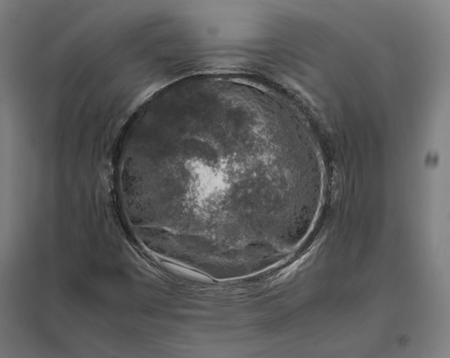X0000097901449200803281328