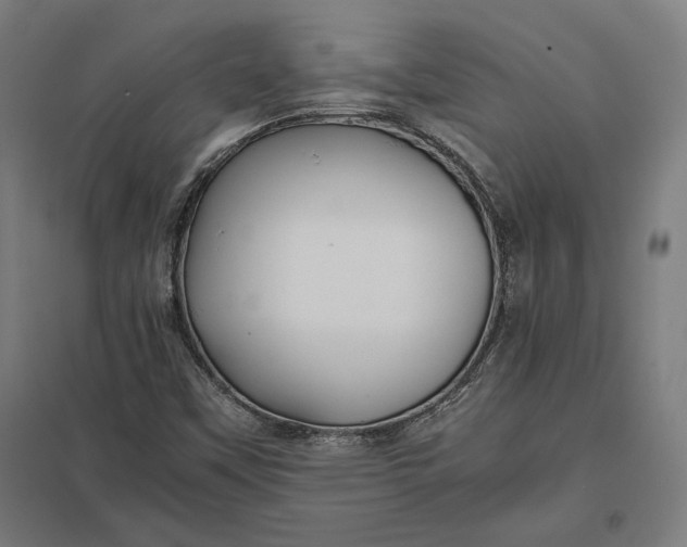 X0000097901451200803281328