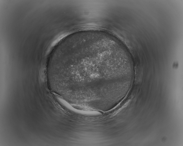 X0000097901453200803281328