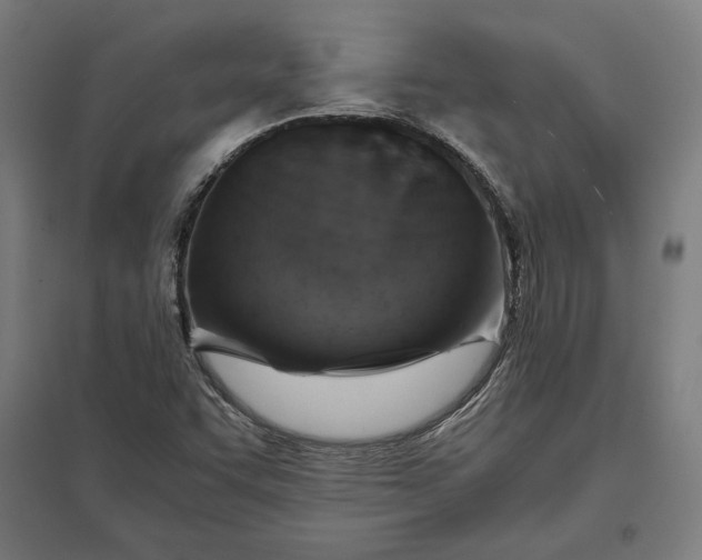 X0000097901455200803281328