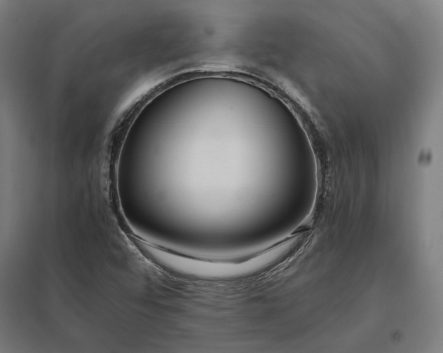 X0000097901456200803281328
