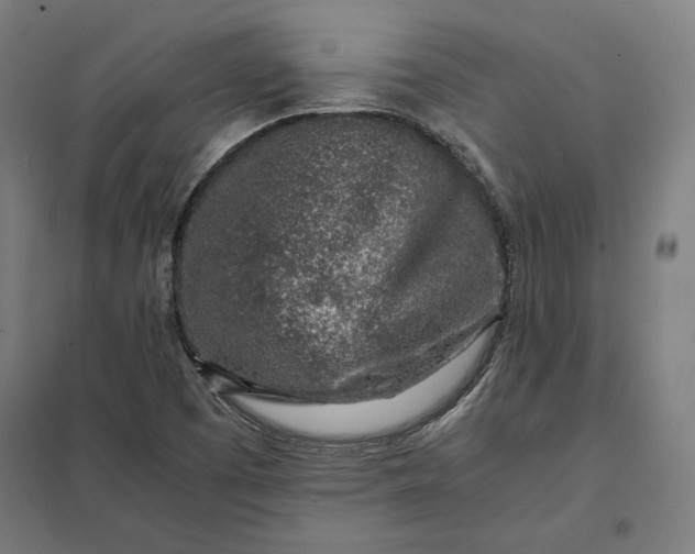 X0000097901457200803281328