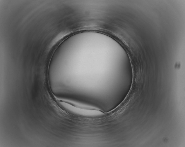 X0000097901458200803281328