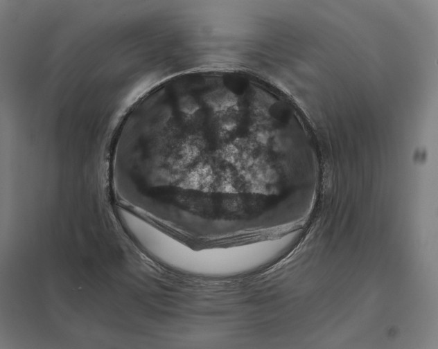 X0000097901459200803281328