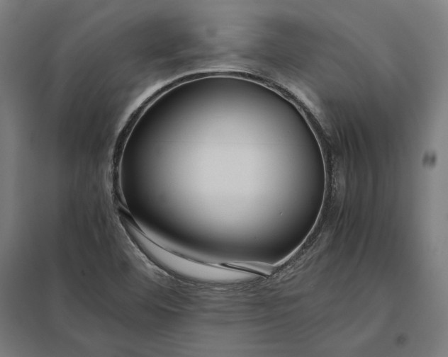 X0000097901460200803281328