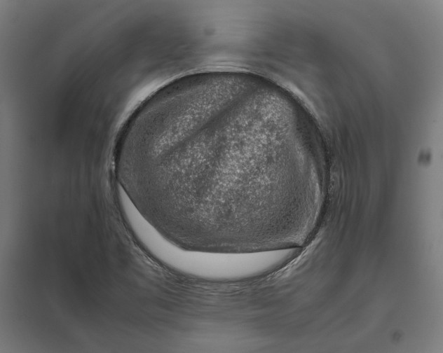 X0000097901461200803281328