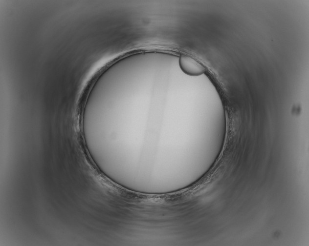 X0000097901462200803281328