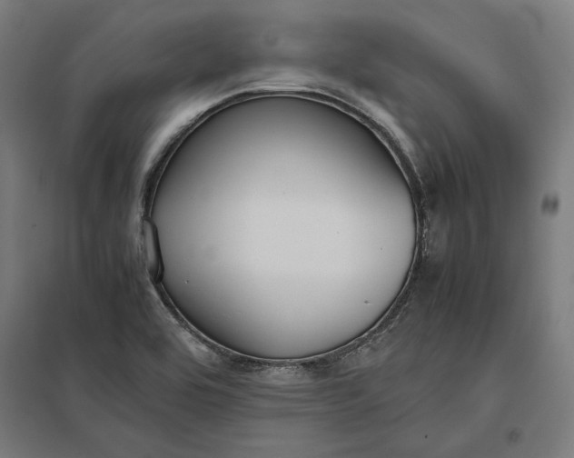 X0000097901464200803281328