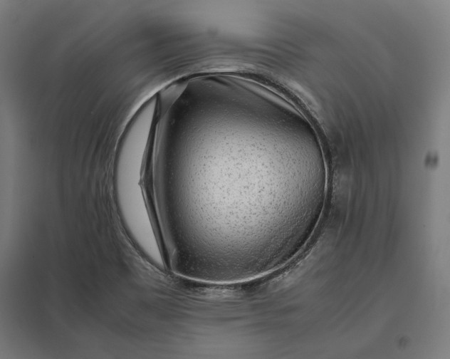 X0000097901465200803281328