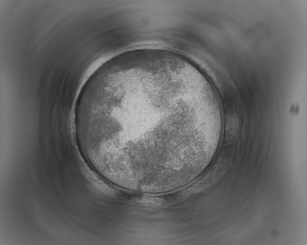 X0000097901466200803281328