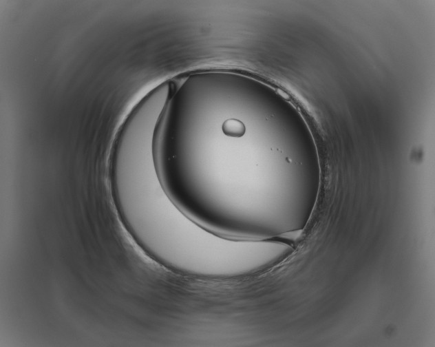 X0000097901468200803281328