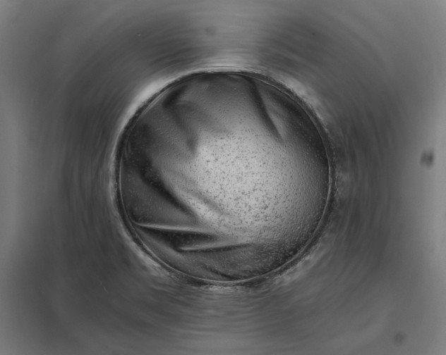 X0000097901469200803281328