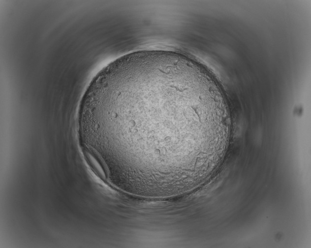 X0000097901471200803281328