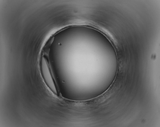 X0000097901472200803281328