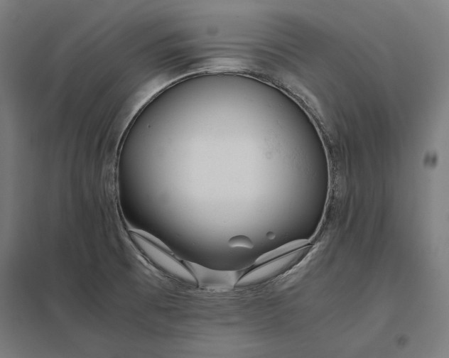 X0000097901473200803281328
