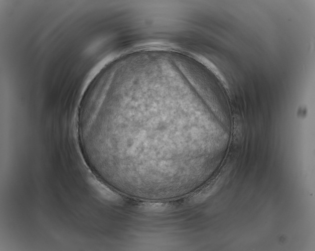 X0000097901474200803281328