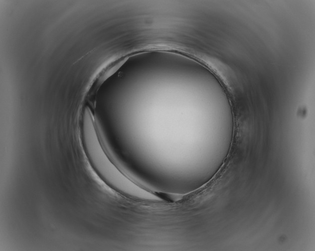 X0000097901476200803281328