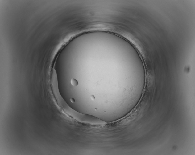 X0000097901477200803281328