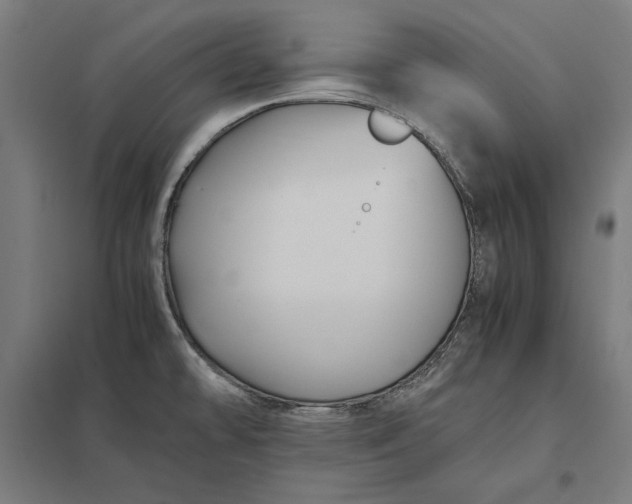 X0000097901478200803281328