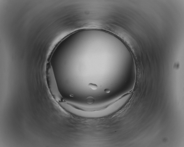 X0000097901480200803281328