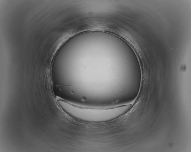 X0000097901481200803281328