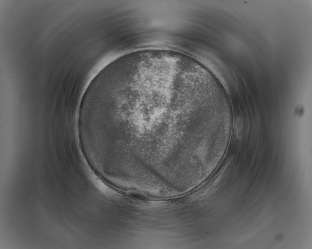 X0000097901482200803281328