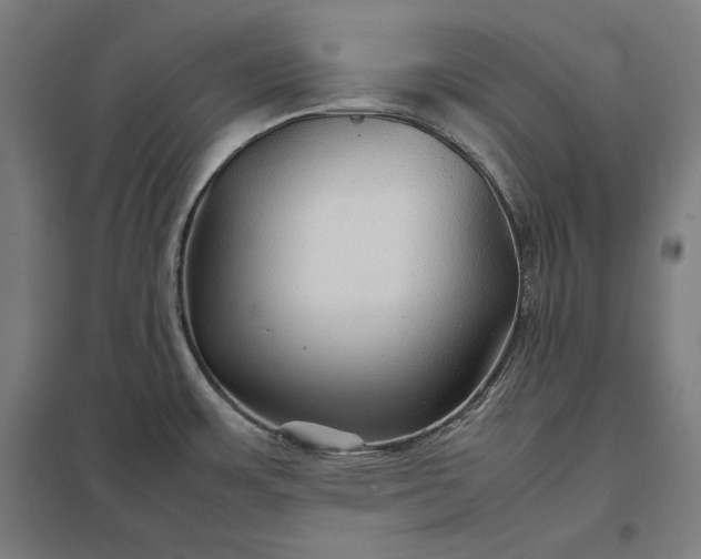 X0000097901483200803281328