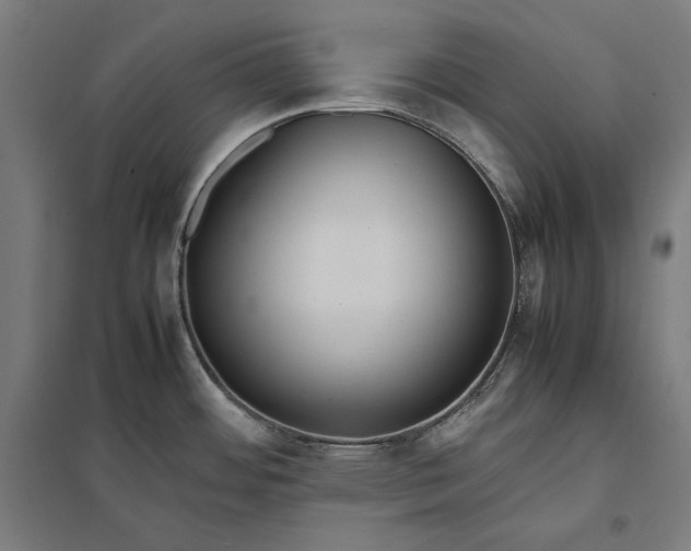 X0000097901484200803281328
