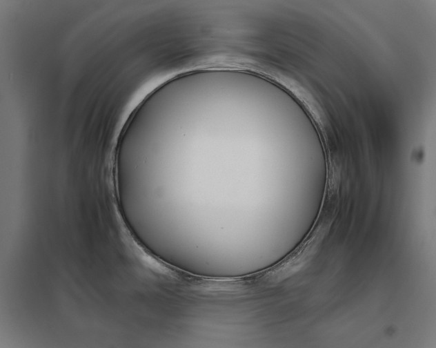 X0000097901486200803281328