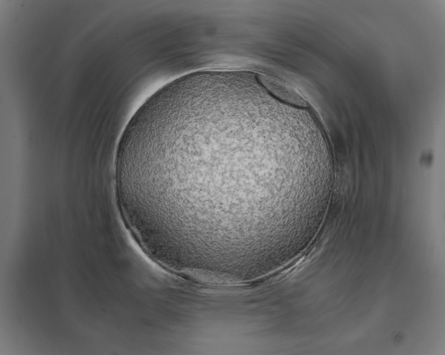 X0000097901487200803281328