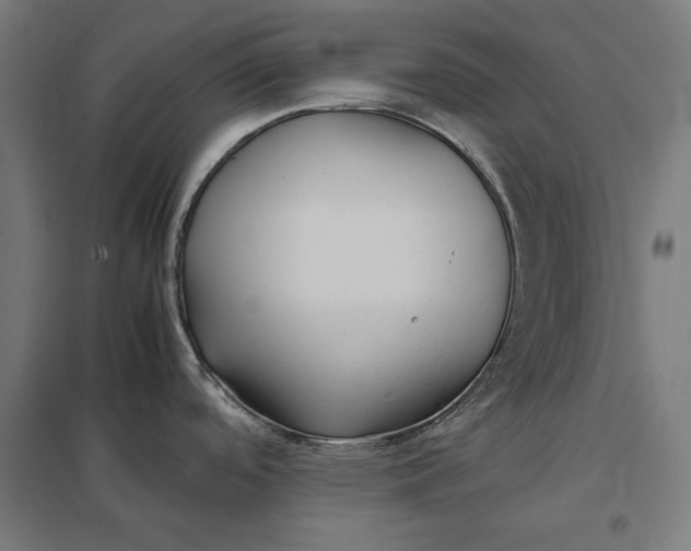 X0000097901488200803281328