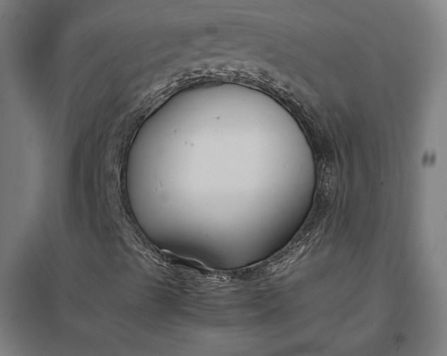 X0000097901489200803281327