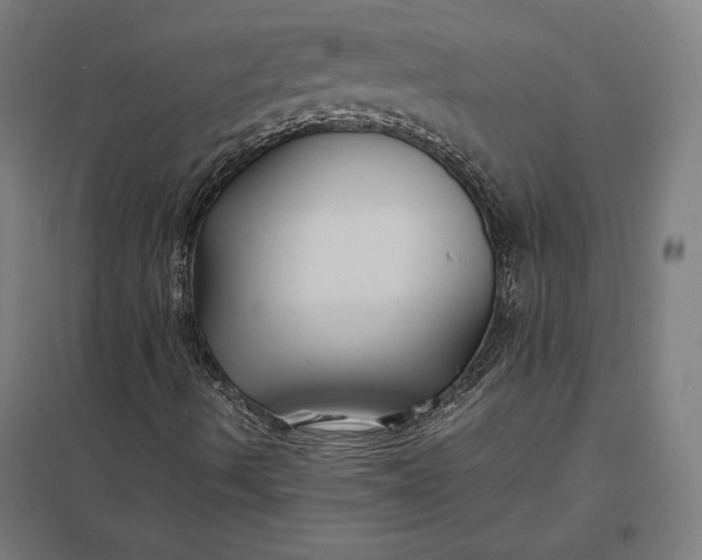 X0000097901490200803281327