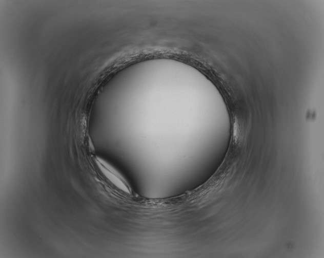 X0000097901492200803281327