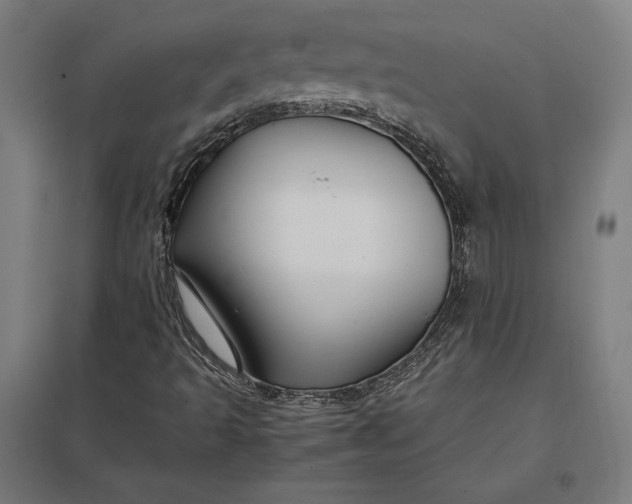 X0000097901493200803281327