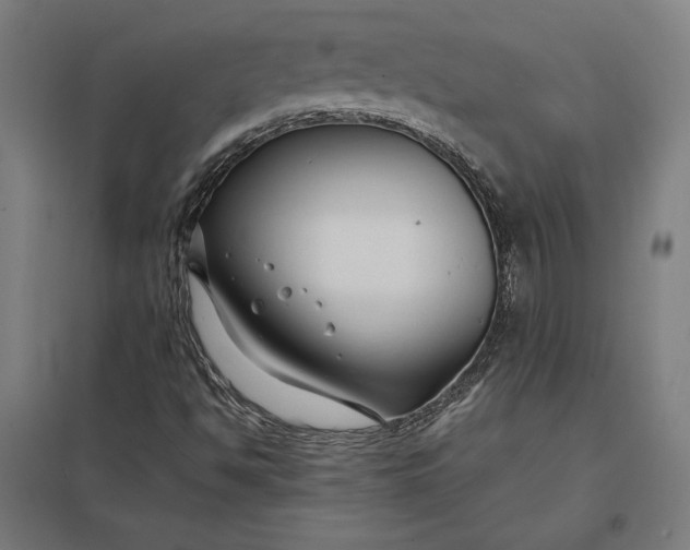 X0000097901494200803281327