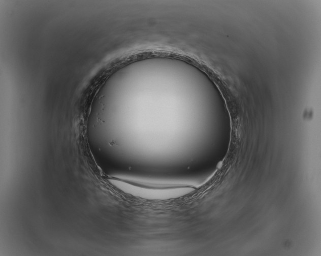 X0000097901495200803281327