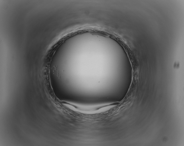 X0000097901496200803281327