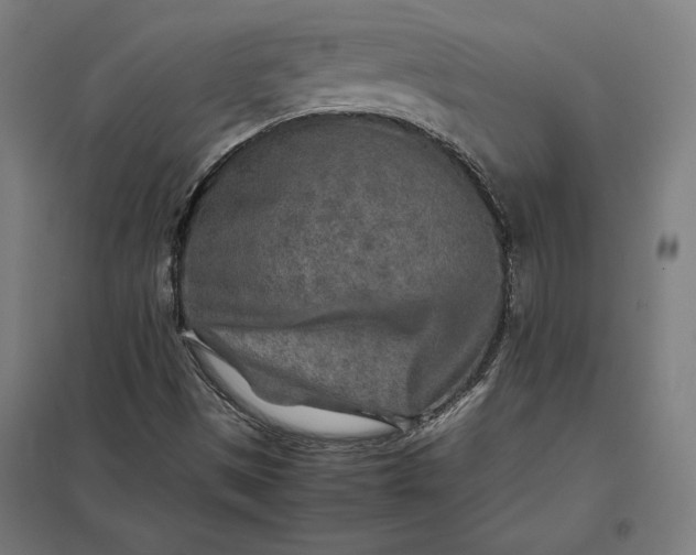 X0000097901497200803281327
