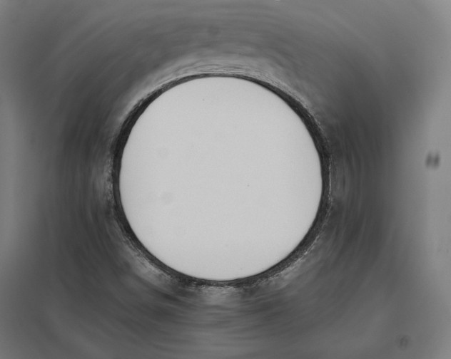 X0000097901498200803281327