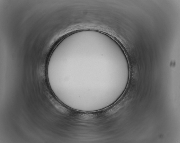 X0000097901499200803281327
