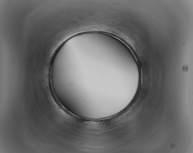 X0000097901500200803281327