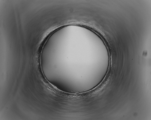 X0000097901501200803281327