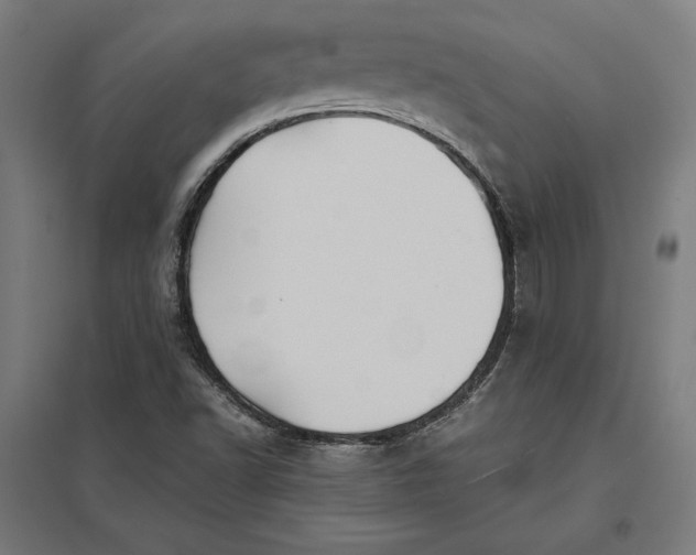 X0000097901502200803281327