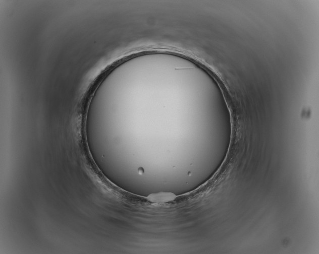 X0000097901503200803281327