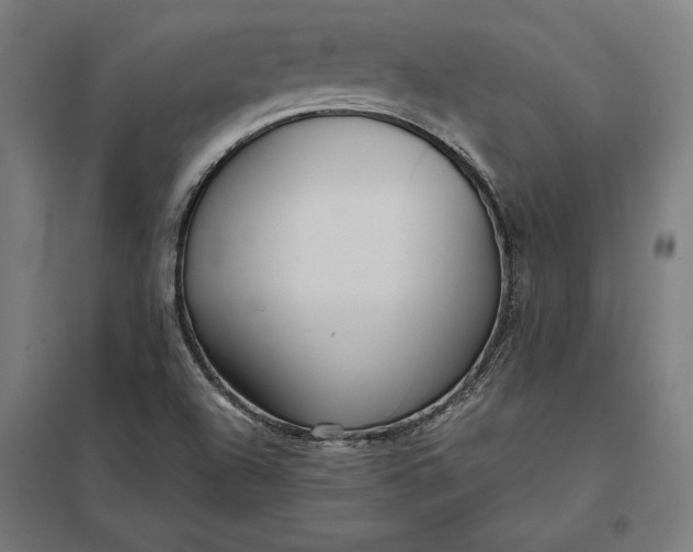 X0000097901504200803281327