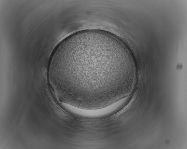 X0000097901505200803281327