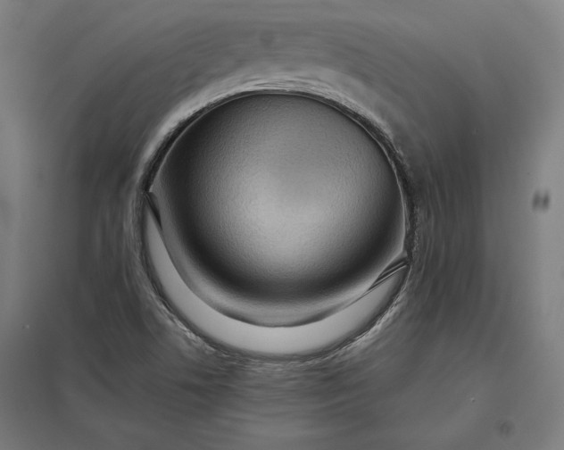 X0000097901506200803281327