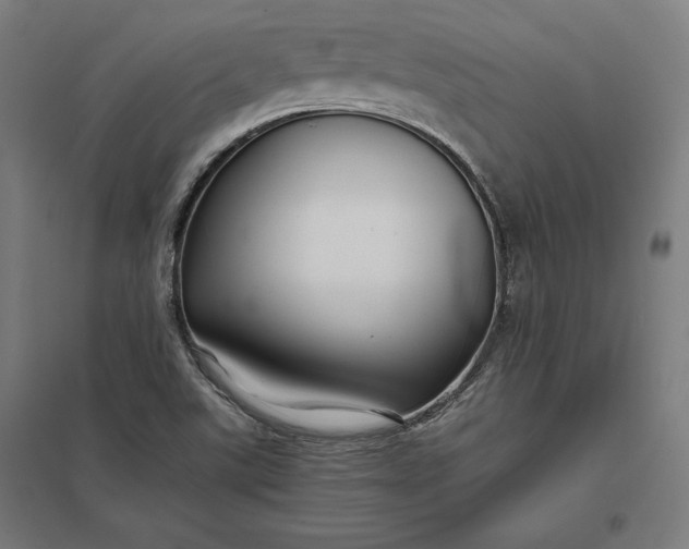 X0000097901507200803281327