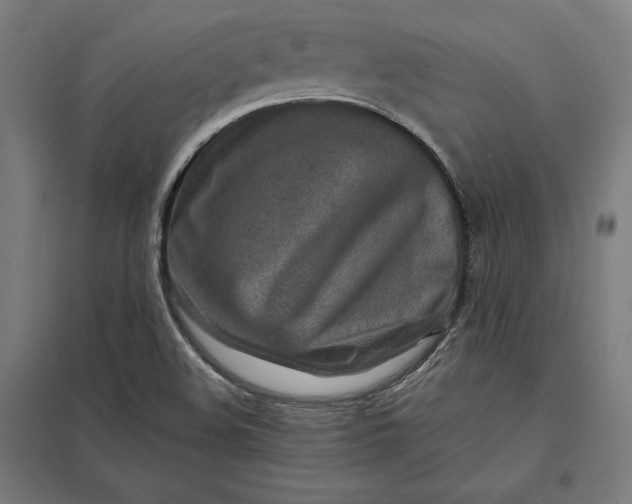 X0000097901508200803281327